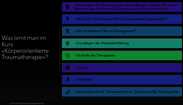 Körperorientierte Traumatherapie und Neurobiologie Naturheilkundliche Traumatherapie (Homöopathie, ätherische Öle, Phytotherapie)