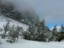 Landschaft